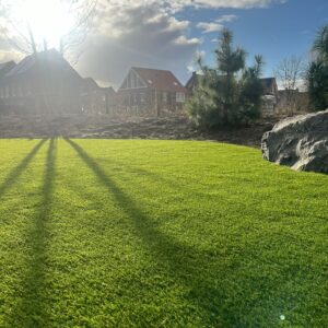 Kunstgras Dune